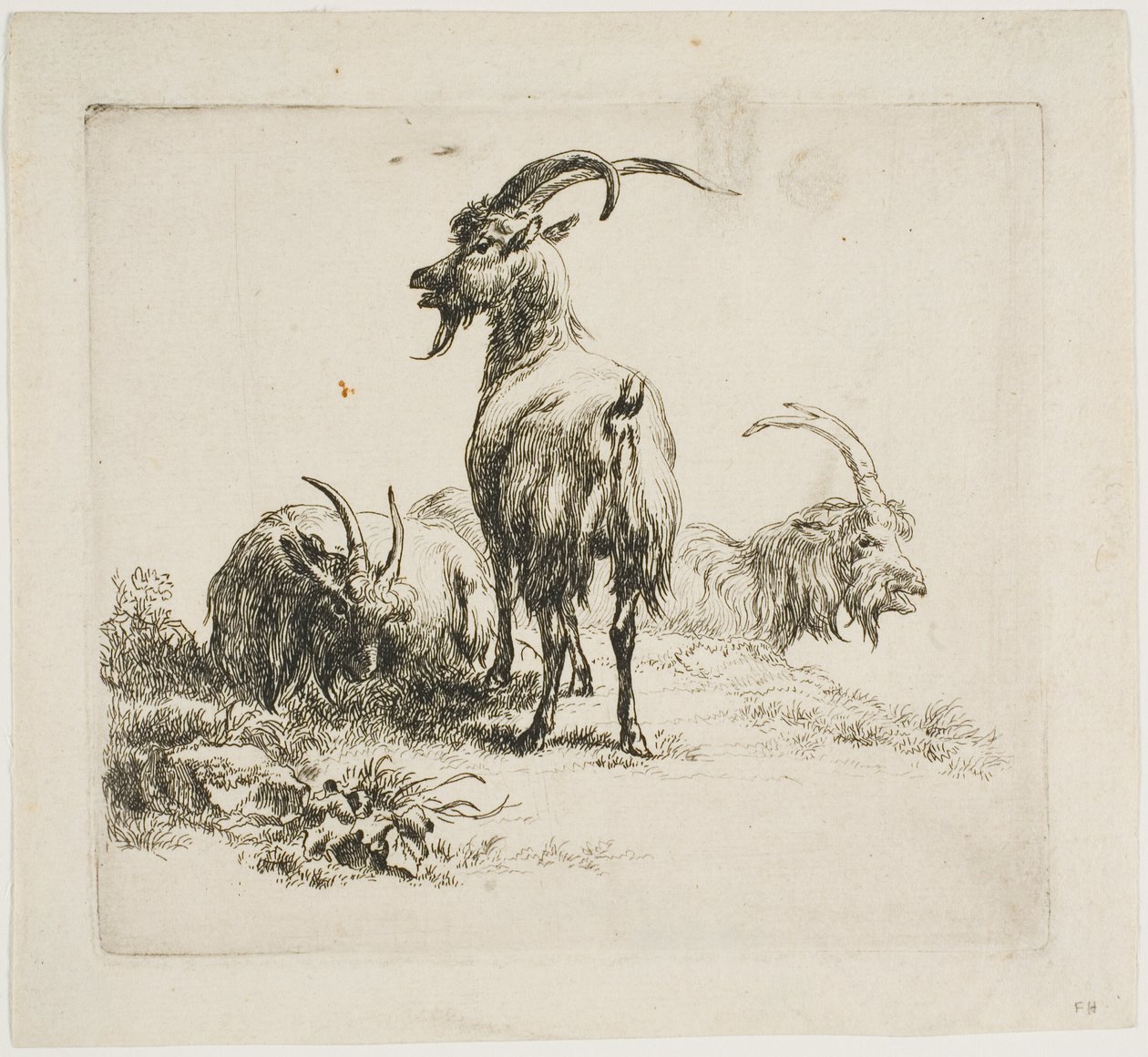 Kecske, Különféle állatok alkotó: Nicolaes Berchem