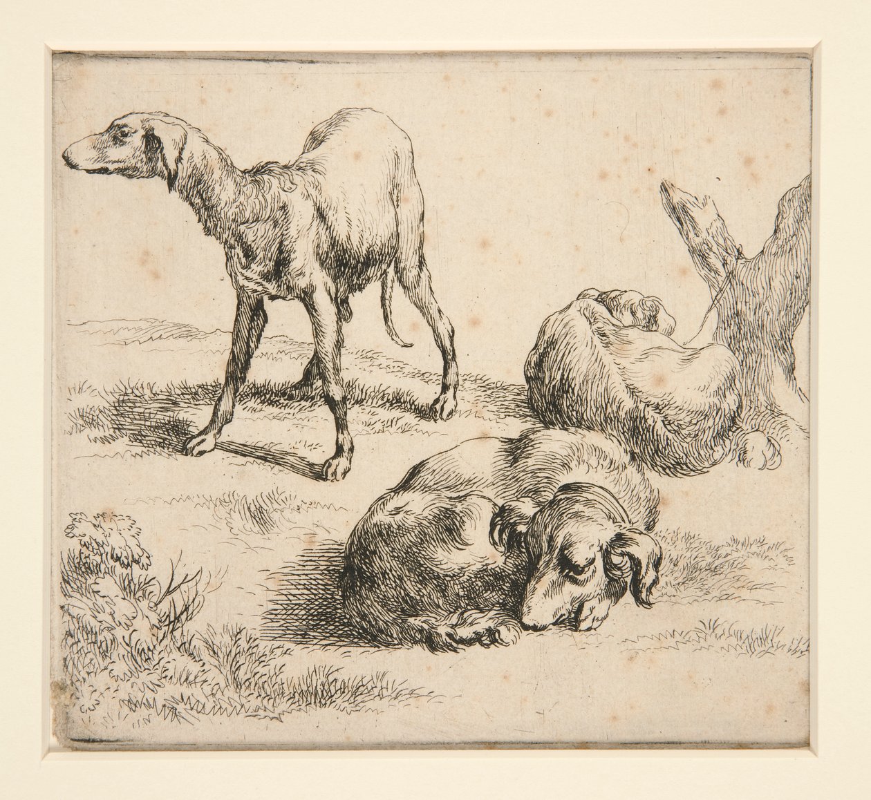 Három vadászkutya (tól alkotó: Nicolaes Berchem