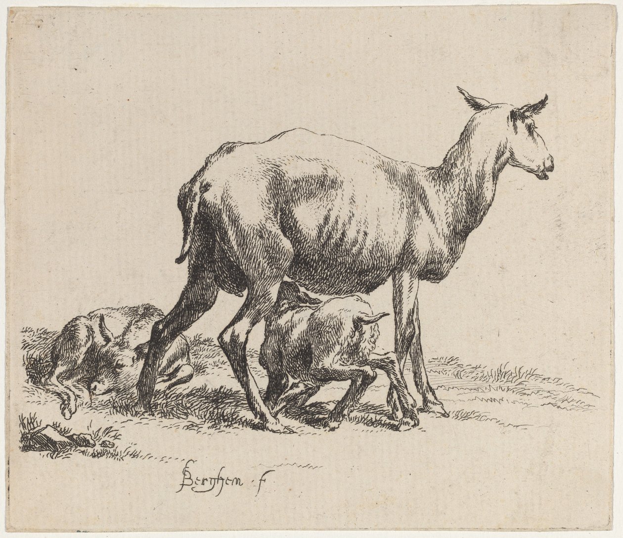 Ewe Nursing Her Lamb alkotó: Nicolaes Pietersz Berchem