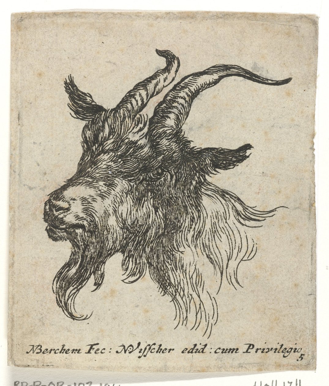 Egy kecske feje Állatok (sorozat címe) alkotó: Nicolaes Pietersz Berchem