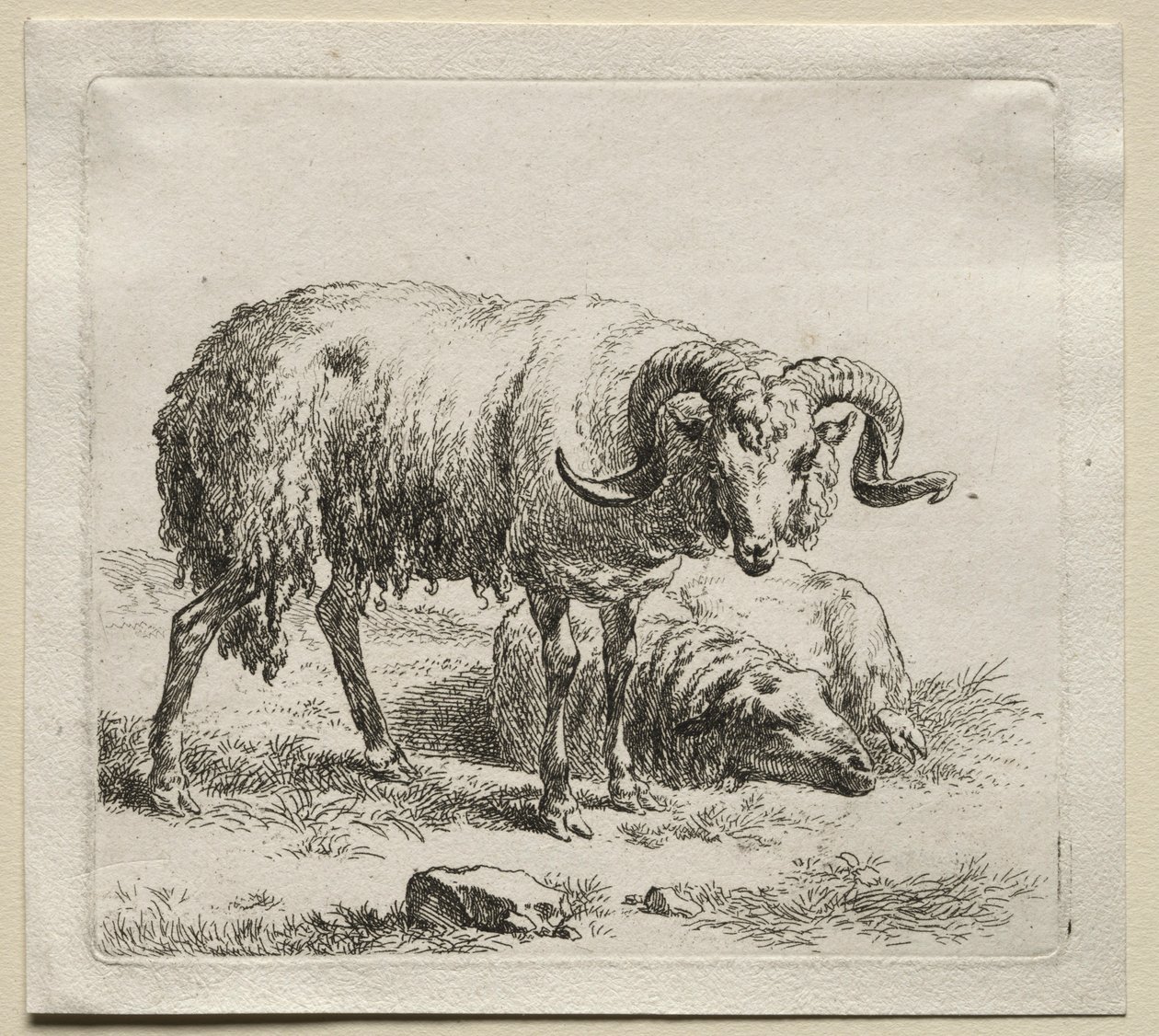 Ram és bárány. alkotó: Nicolaes Pietersz. Berchem