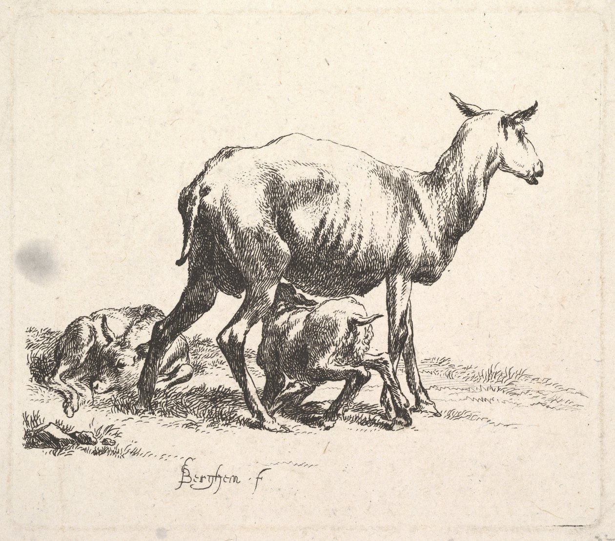 Juhok bárányápolással. alkotó: Nicolaes Pietersz. Berchem