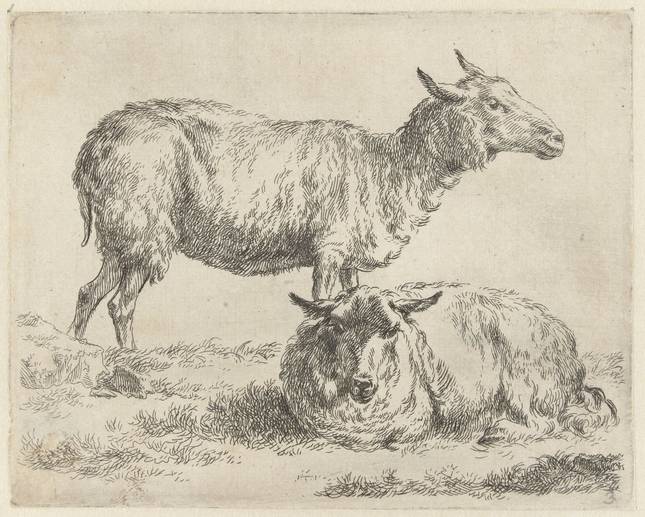 Staand en liggend schaap Schapen (sorozat címe) Az erős levegő által életre keltett és vízbe nyomott állatok a Nicolai Berchem Stúdió és Művészet által (sorozat címe) alkotó: Nicolaes Pietersz Berchem