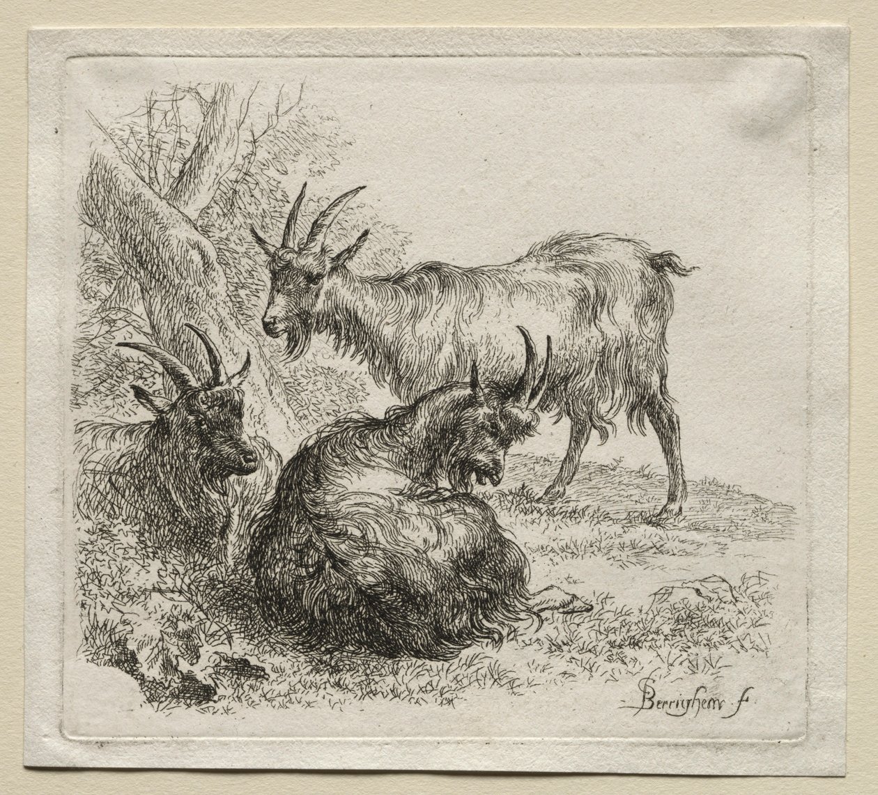 Három kecske. alkotó: Nicolaes Pietersz. Berchem