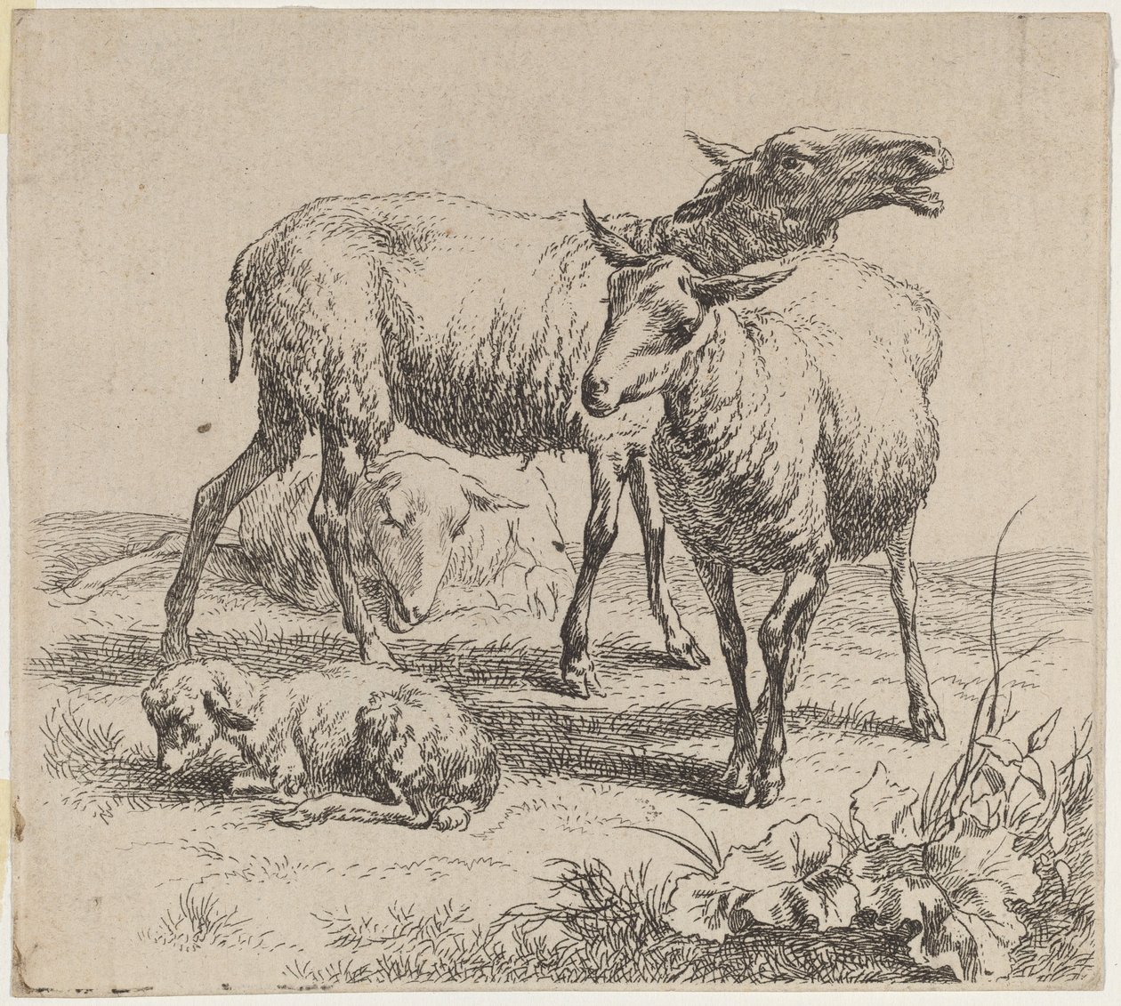 Három bárány és egy bárány alkotó: Nicolaes Pietersz Berchem
