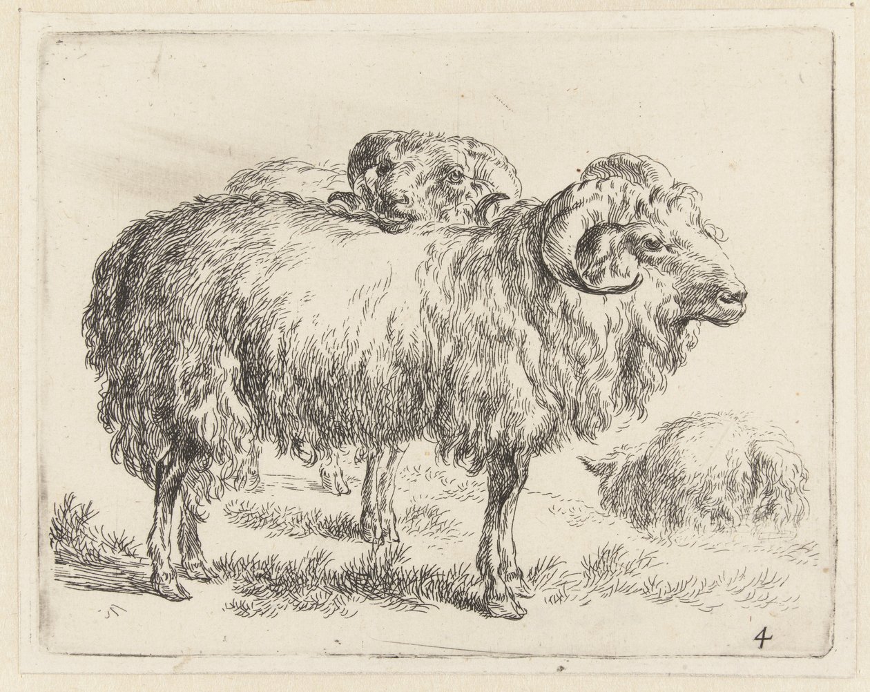 Twee rammen en een schaap Schapen (sorozat címe) Az erős levegő által életre keltett és vízbe nyomott állatok a Nicolai Berchem Stúdió és Művészet által (sorozat címe) alkotó: Nicolaes Pietersz Berchem