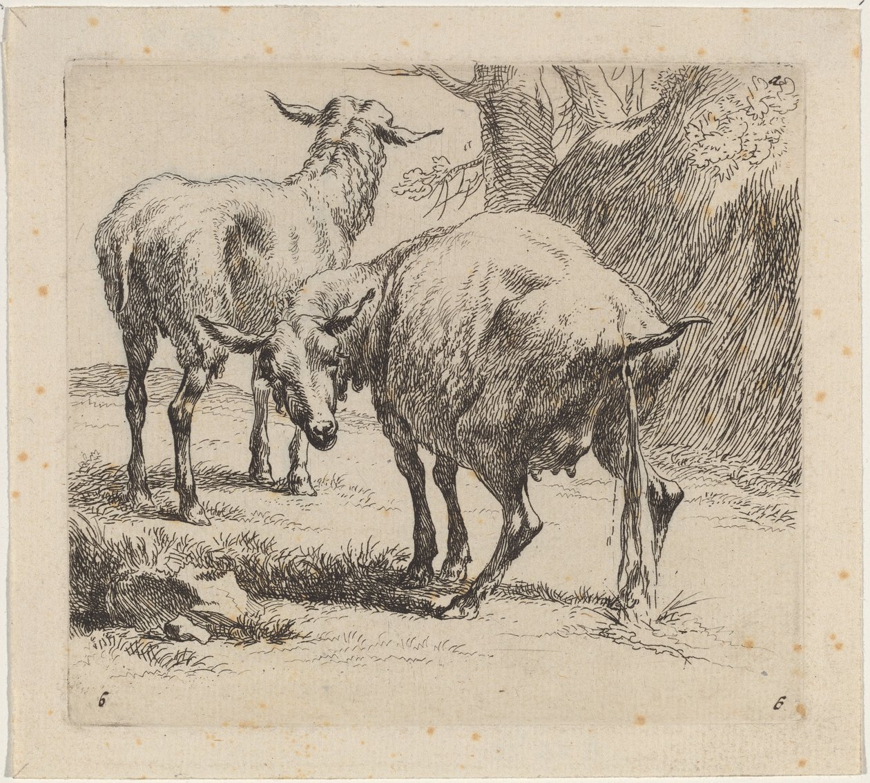 Két bárány, egy pissing alkotó: Nicolaes Pietersz Berchem
