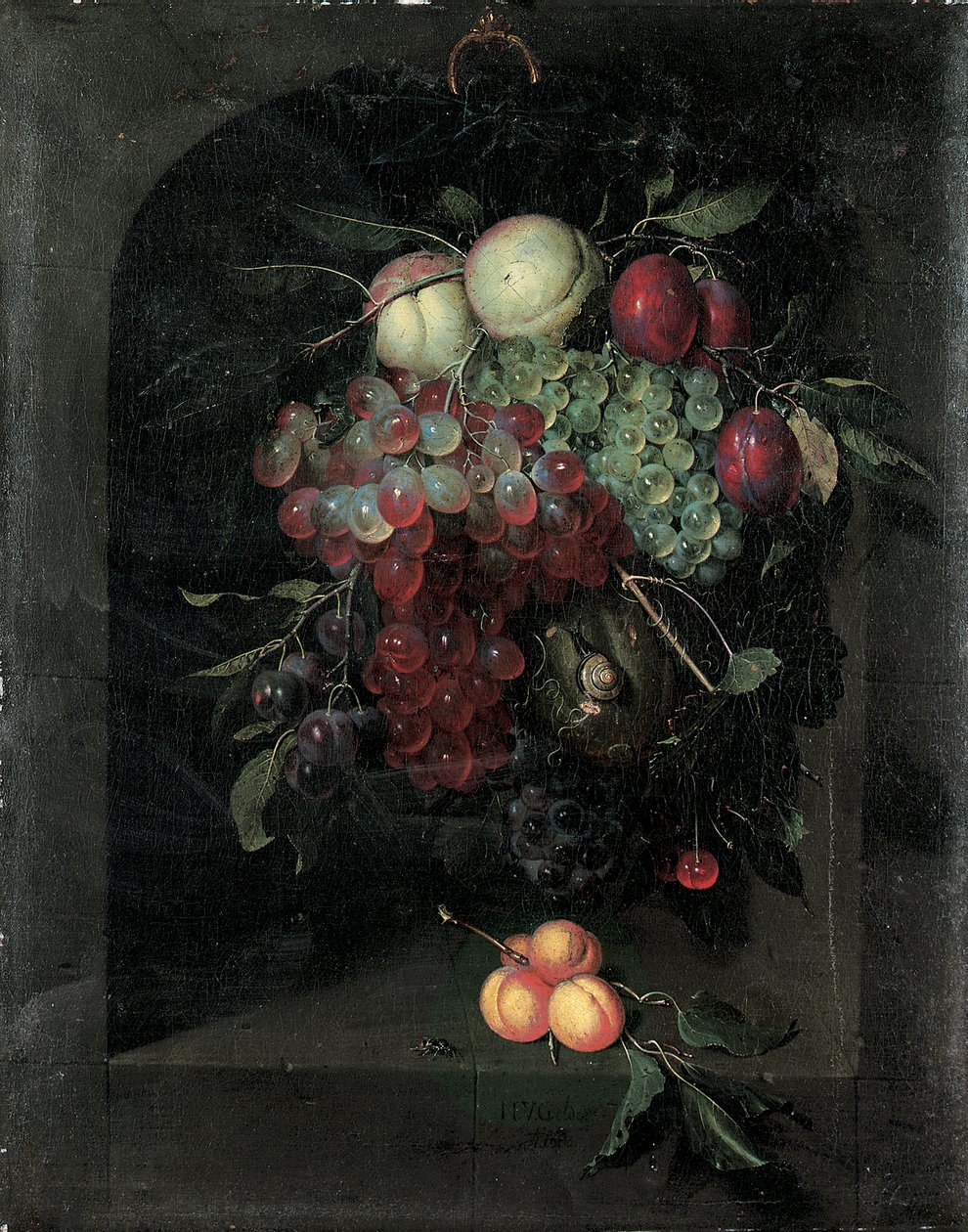 Koracs szőlő, őszibarack, szilva és cseresznye egy csigával egy kőfülkében, egy csomó sárgabarack és méh a párkányon, 1666 alkotó: Nicolaes Van Gelder