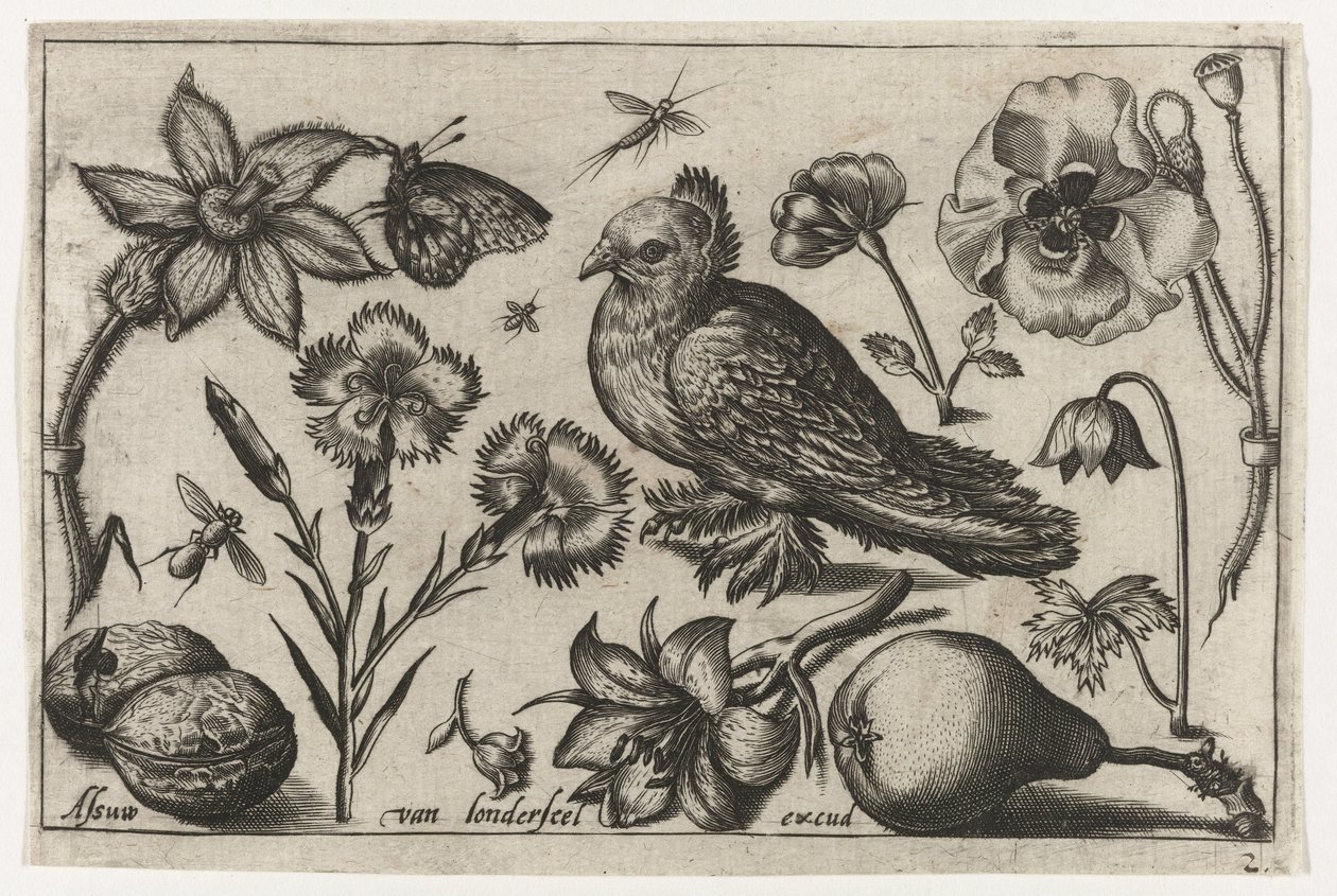 Virágok, egy körte és egy galamb Madarak, virágok, rovarok stb. (sorozat címe) alkotó: Nicolaes de Bruyn (possibly)