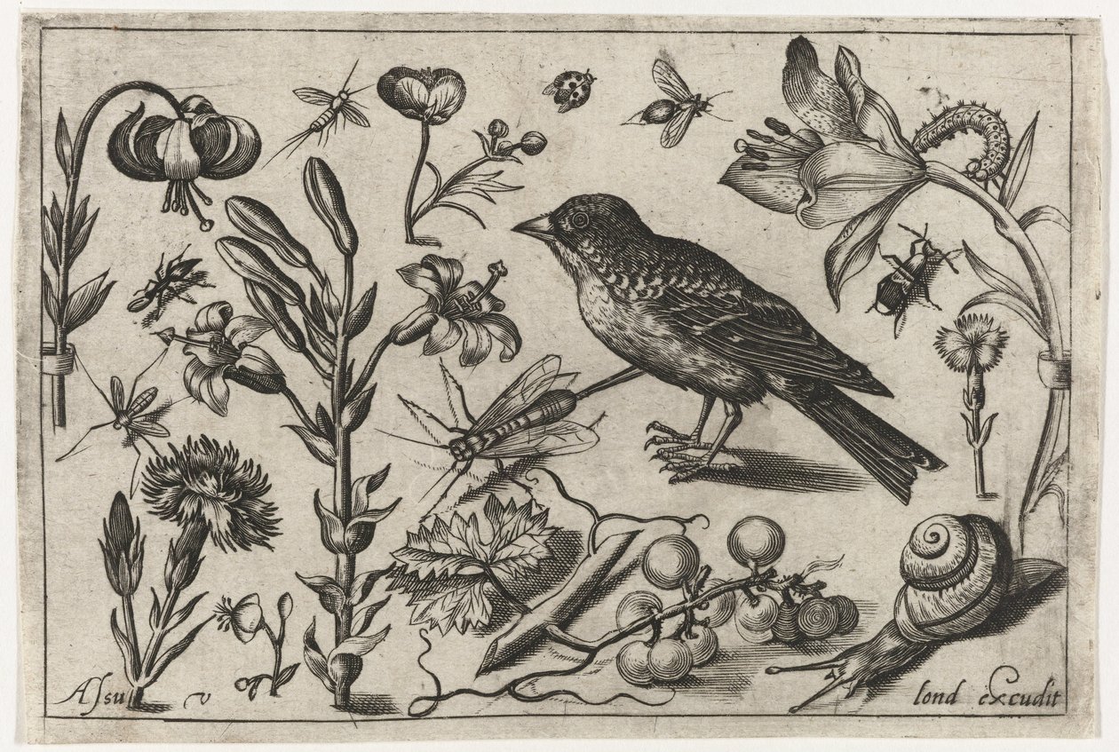 Virágok, csiga és madár Madarak, virágok, rovarok stb. (sorozat címe) alkotó: Nicolaes de Bruyn (possibly)