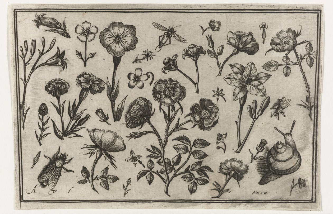 Virágok, légy és csiga Madarak, virágok, rovarok stb. (sorozat címe) alkotó: Nicolaes de Bruyn (possibly)