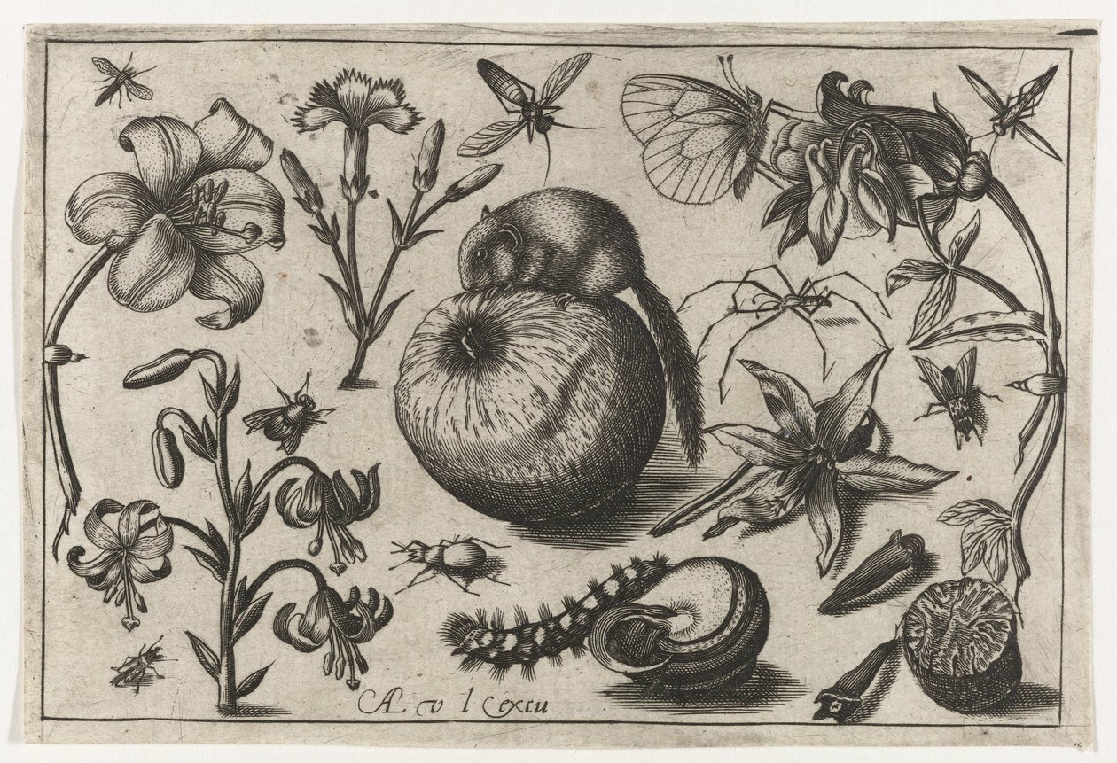 Virágok és egy egér egy almán Madarak, virágok, rovarok stb. (sorozat címe) alkotó: Nicolaes de Bruyn (possibly)