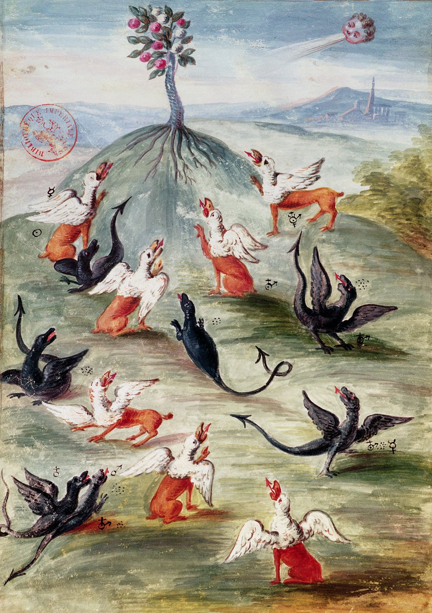Ms Fr. 14765 f.20-21 „Szép virág a hegyen”, allegorikus illusztráció, amely alkímiai folyamatokat reprezentáló kimérákat mutat be, amelyeket állítólag Nicolas Flamel (kb. 1330-1418) írt és világított meg (v. alkotó: Nicolas Flamel