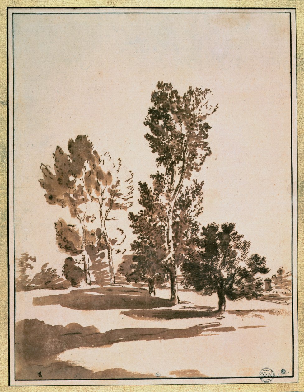 Fa tanulmány alkotó: Nicolas Poussin