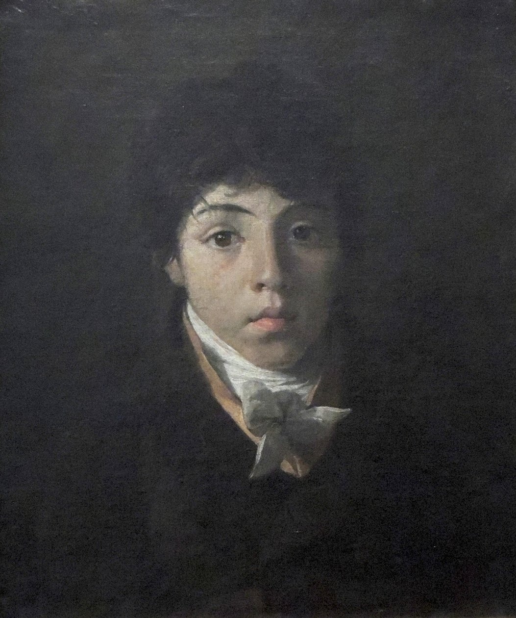 A fiatal Teodoro Taunay portréja alkotó: Nicolas Antoine Taunay