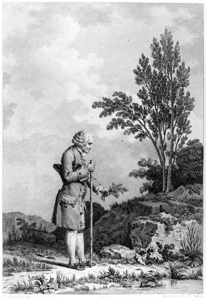 Jean-Jacques Rousseau (1712-78) Gyógynövények gyűjtése Ermenonville-ben, 1778. június, vésette: Louis Michel Halbou (sz. 1730) alkotó: Nicolas Andre Monsiau