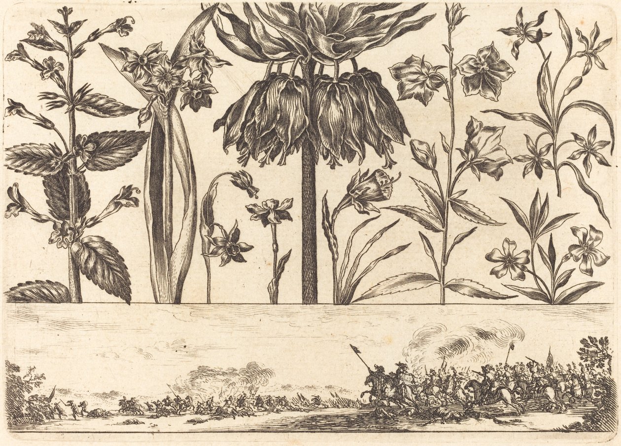 Virágnyomat 10. sz alkotó: Nicolas Cochin after Balthasar Moncornet
