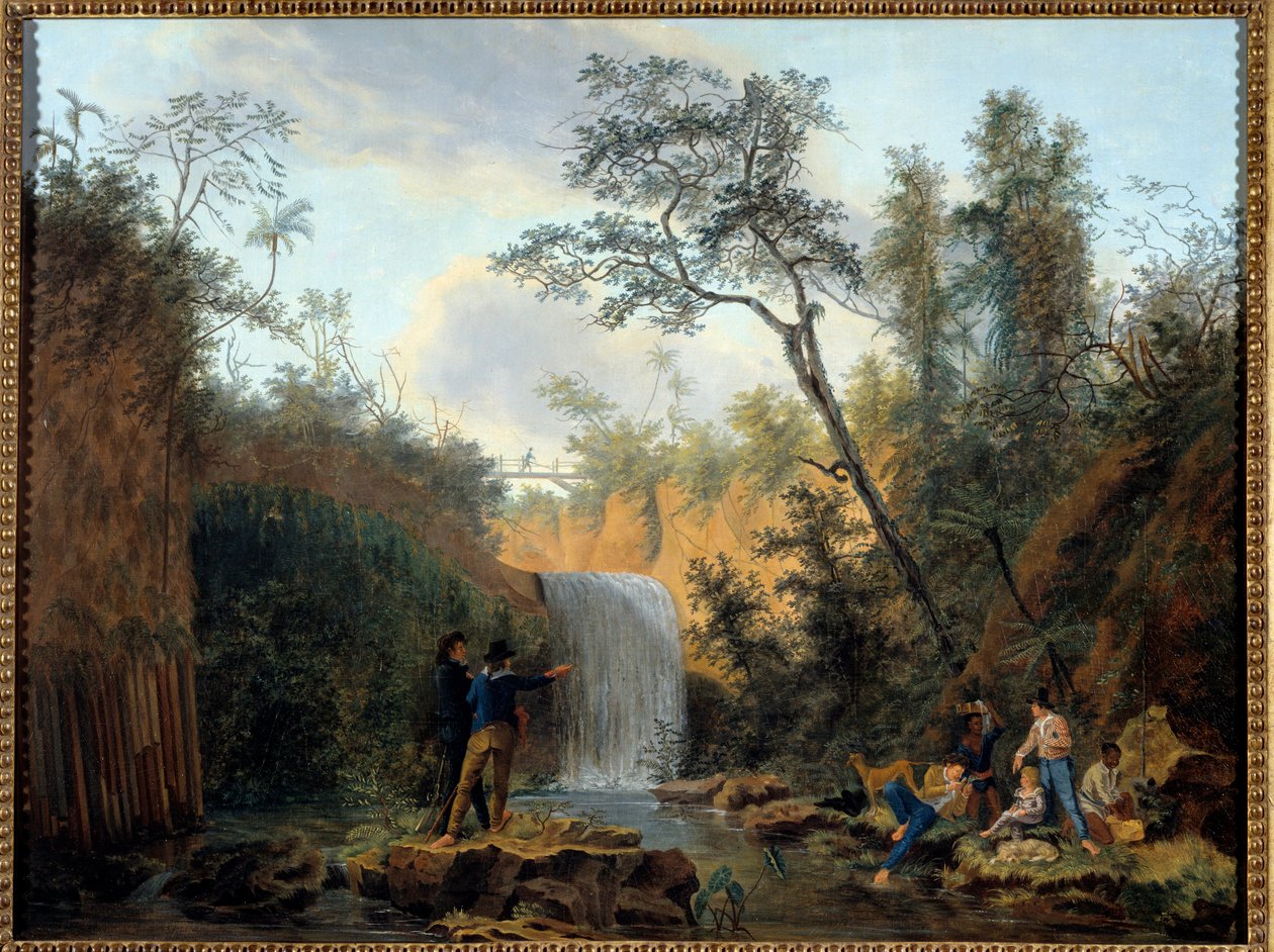Egy botanikus expedíció Dél-Amerikában Nicolas Didier Boguet (1755-1839) festménye, 18. századi La Rochelle, Musee du Nouveau Monde alkotó: Nicolas Didier Boguet