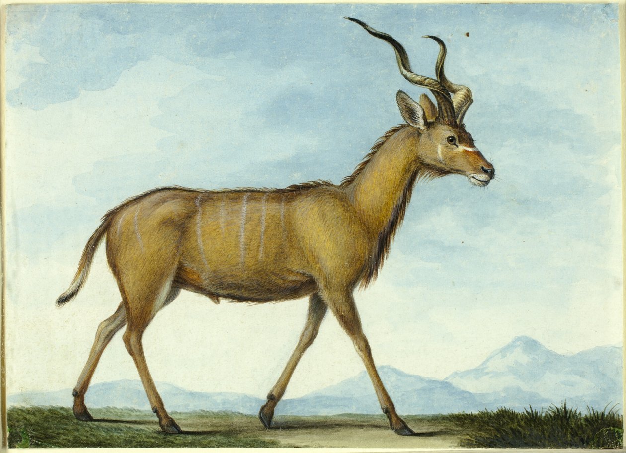 A Kudu alkotó: Nicolas Hüet the Younger