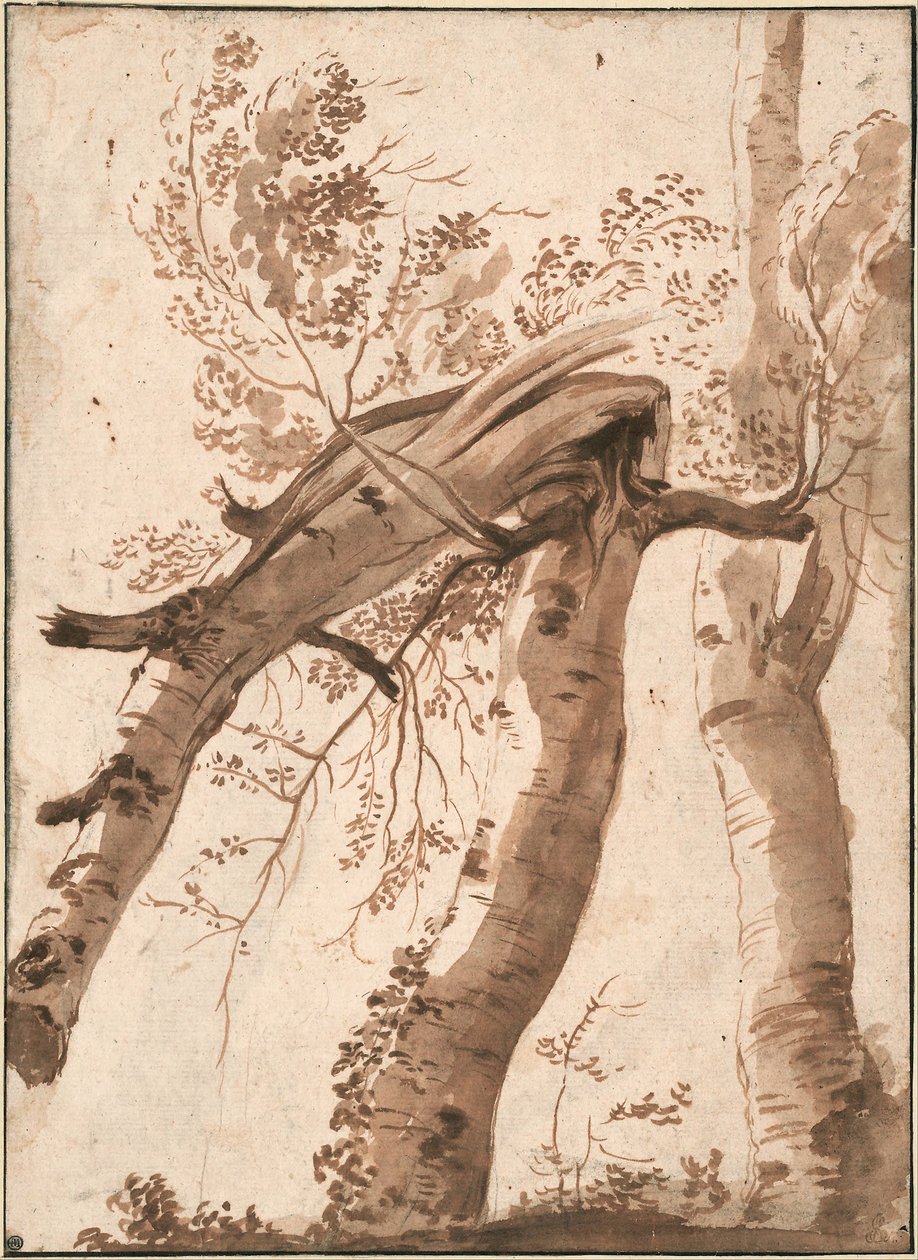 Két ezüst nyírfa, az elülső egy kidőlt, c. 1629 alkotó: Nicolas Poussin