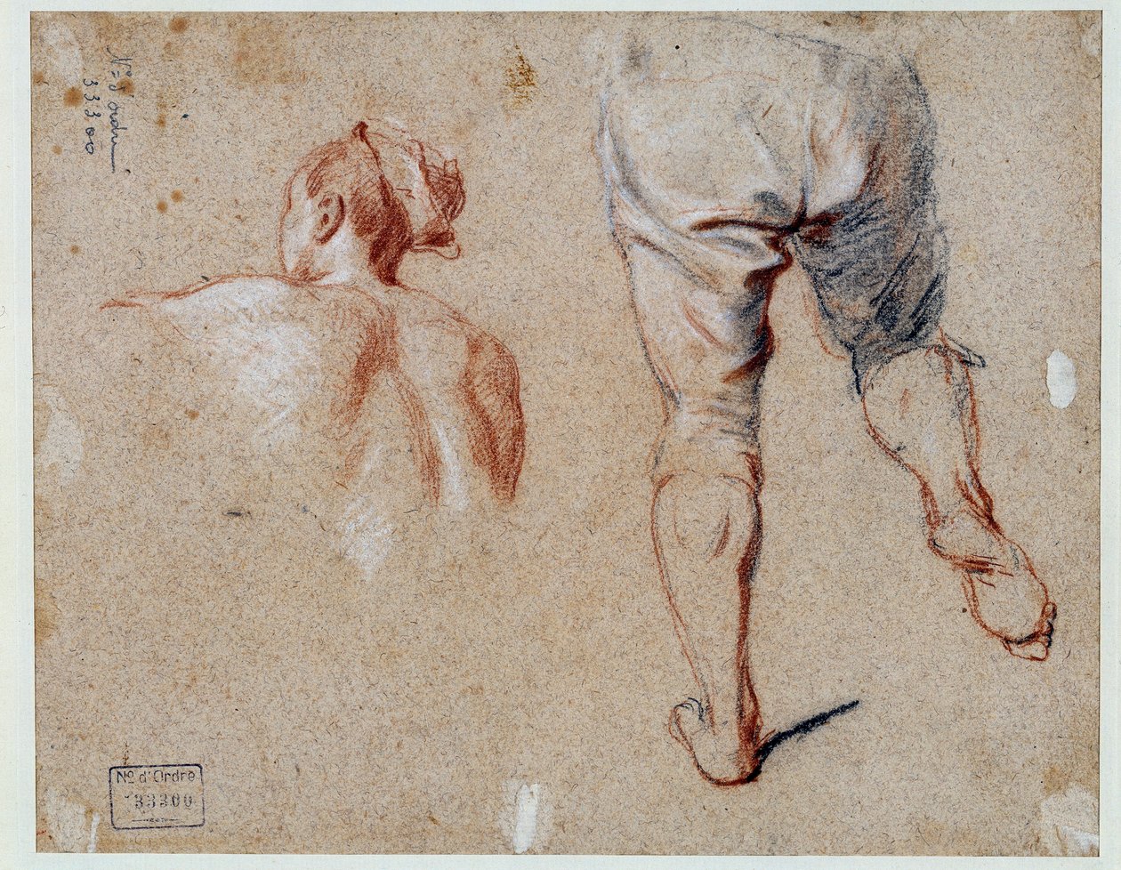Anatómiai tanulmányok Nicolas Vleughels (1668-1737) olajrajza 18. századi Párizs, Louvre Múzeum alkotó: Nicolas Vleughels