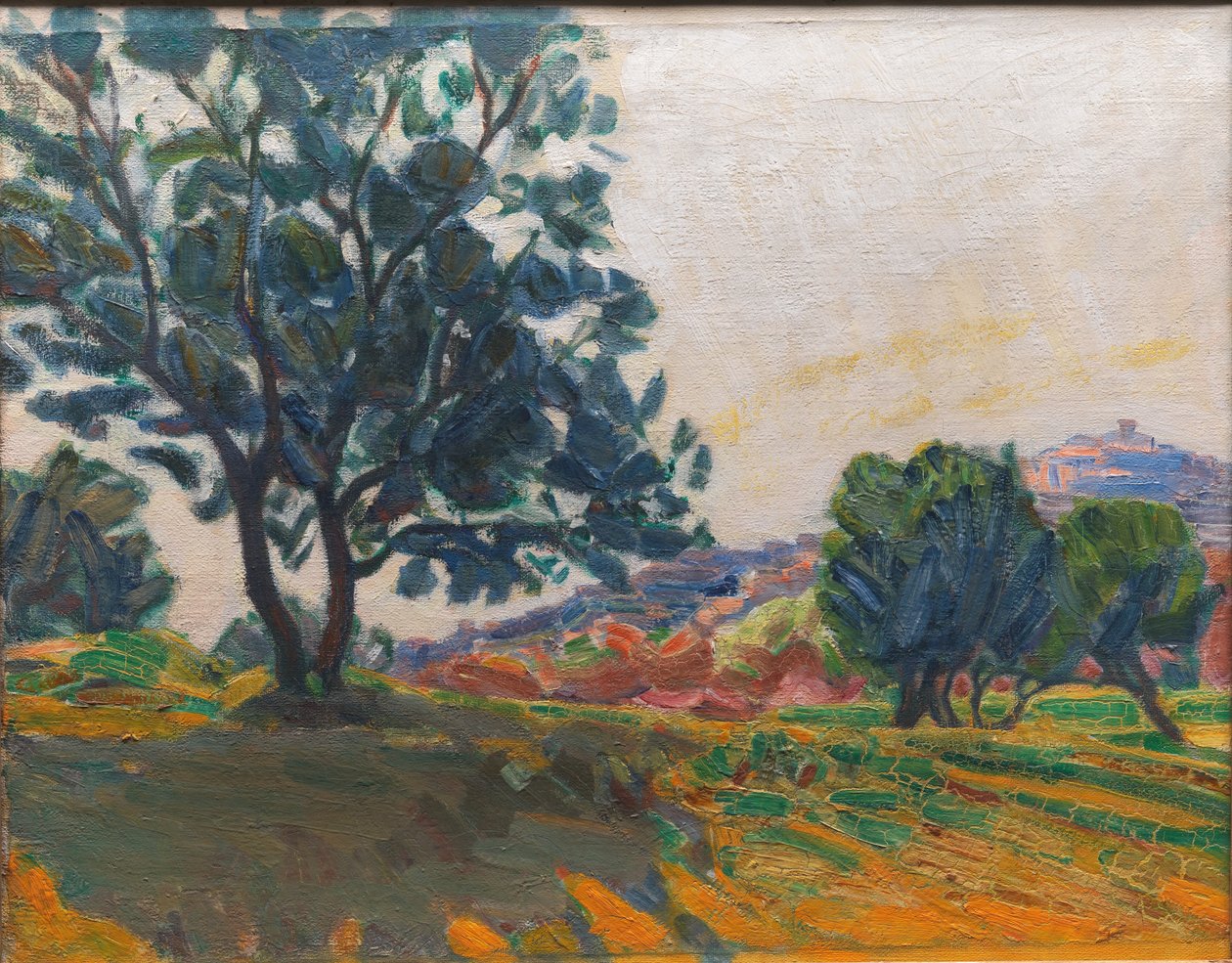 Az Olive Grove. Cagnes-szel a háttérben. A Fény ellen alkotó: Niels Larsen Stevns