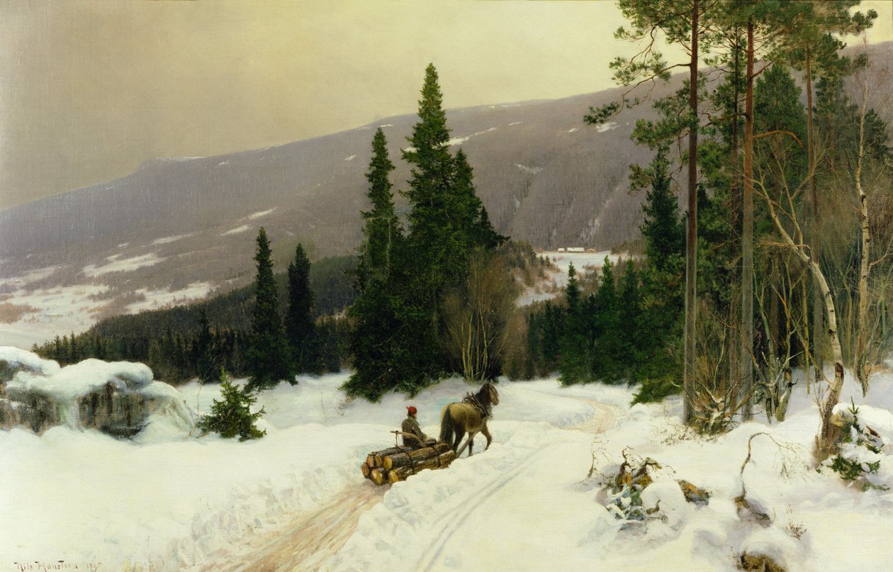 Téli alkotó: Nils Hansteen