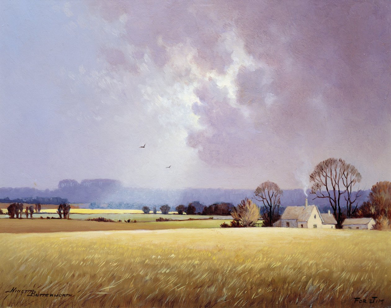 Őszi napfény, 1982 alkotó: Ninetta Butterworth