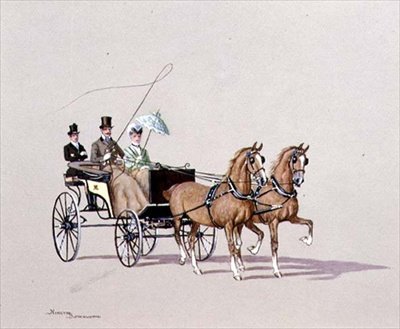 Pók Phaeton, 1972 alkotó: Ninetta Butterworth