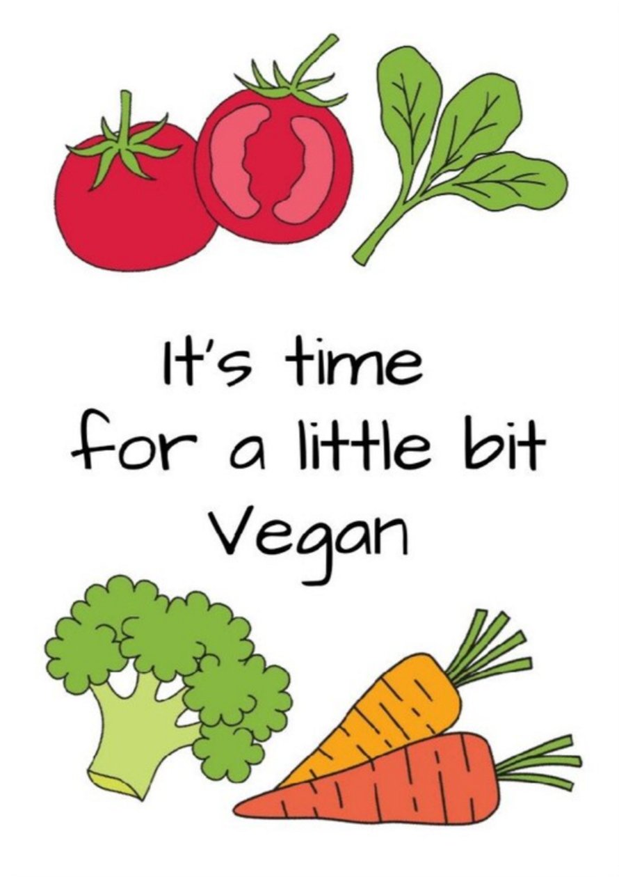 Vegán alkotó: Nomi Morina