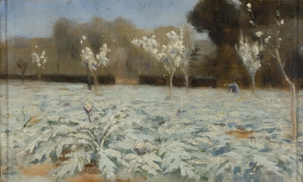 Articsóka, Hyeres alkotó: Norman Garstin