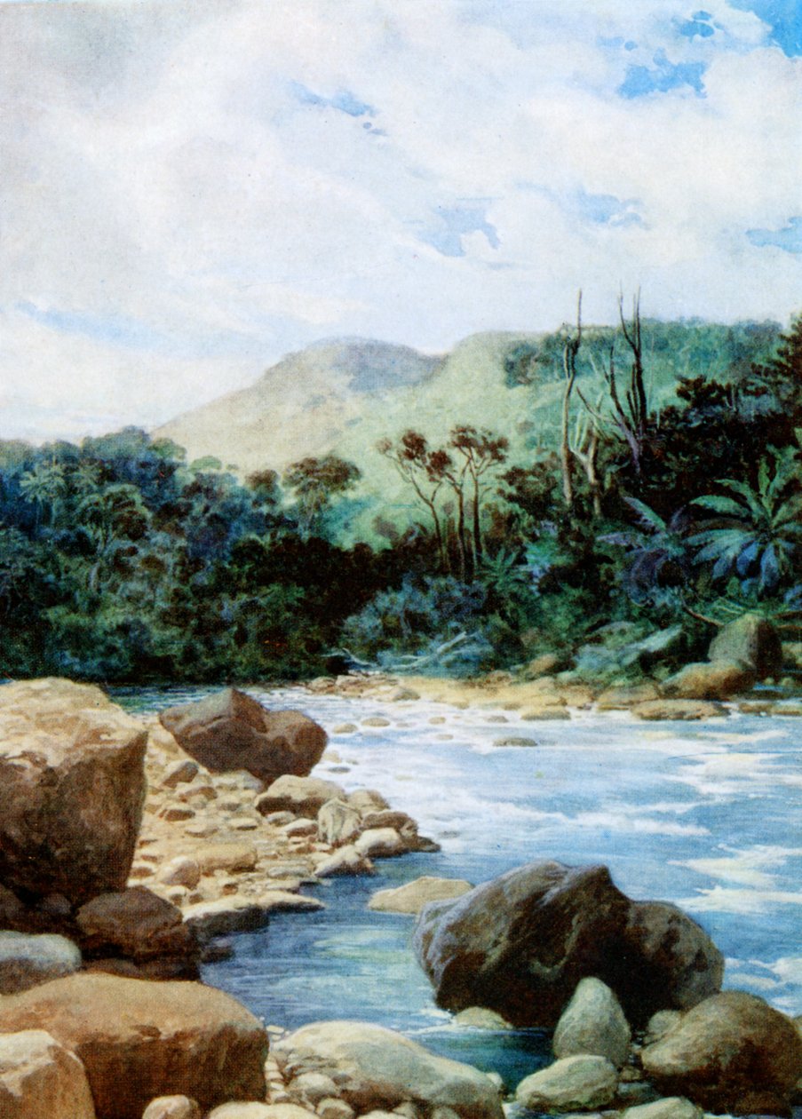 Tájkép Eromangában, Új-Hebridákon, 1908 alkotó: Norman Hardy
