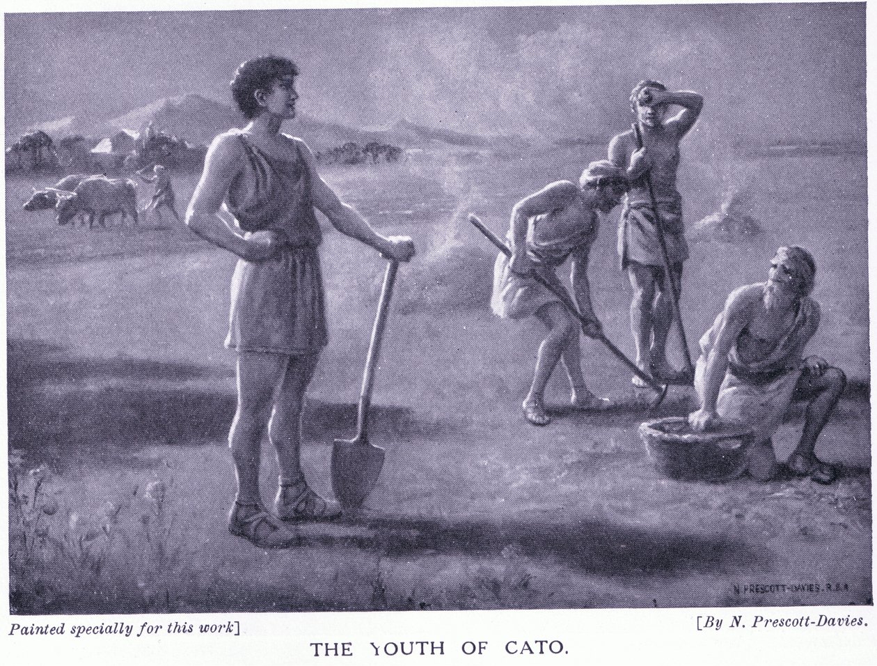 Cato ifjúsága alkotó: Norman Prescott Davies
