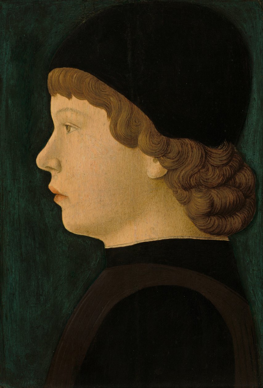 Profil portré egy fiú alkotó: North Italian 15th Century