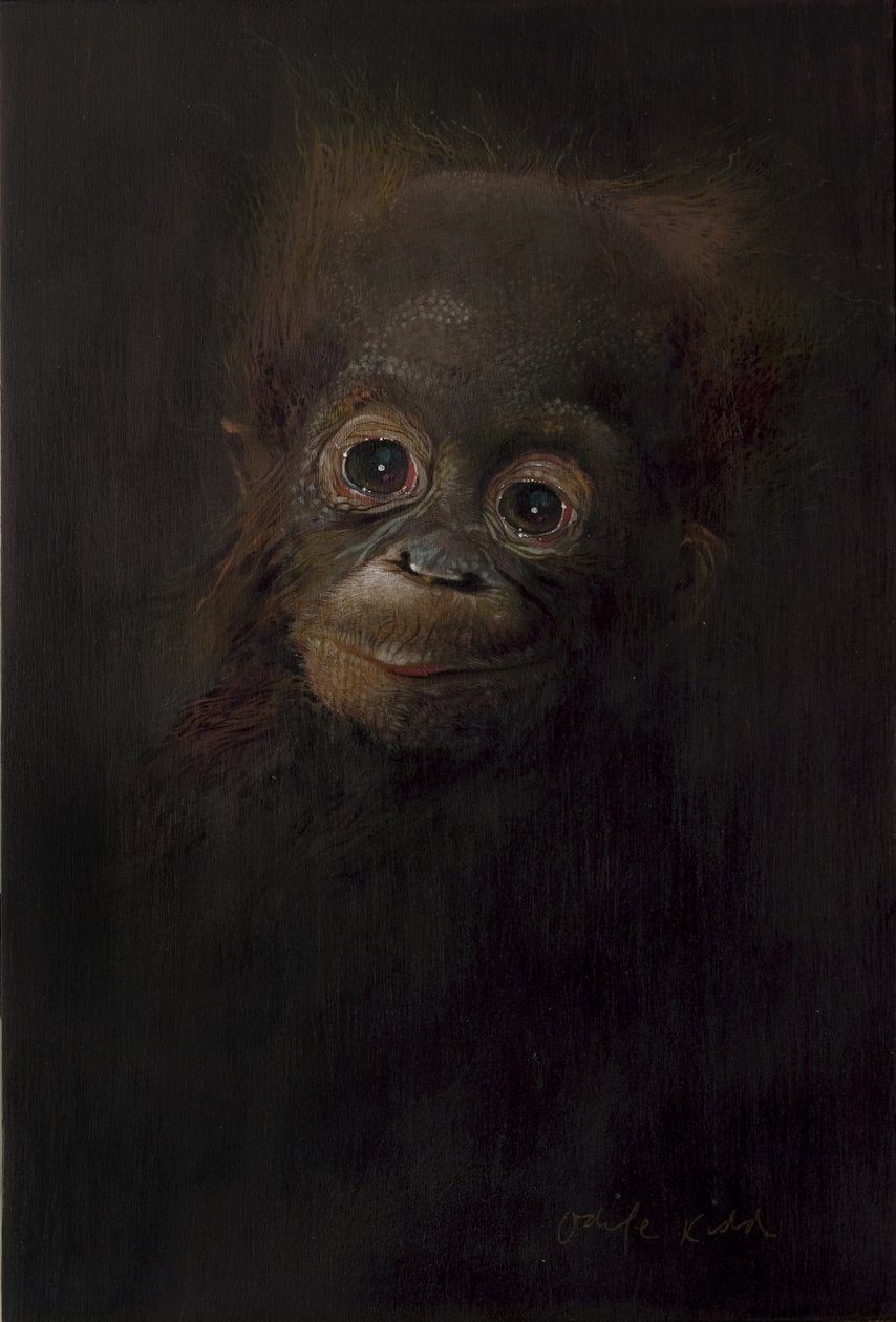 Baby orangután 1, 2009 (akril, fa) alkotó: Odile Kidd