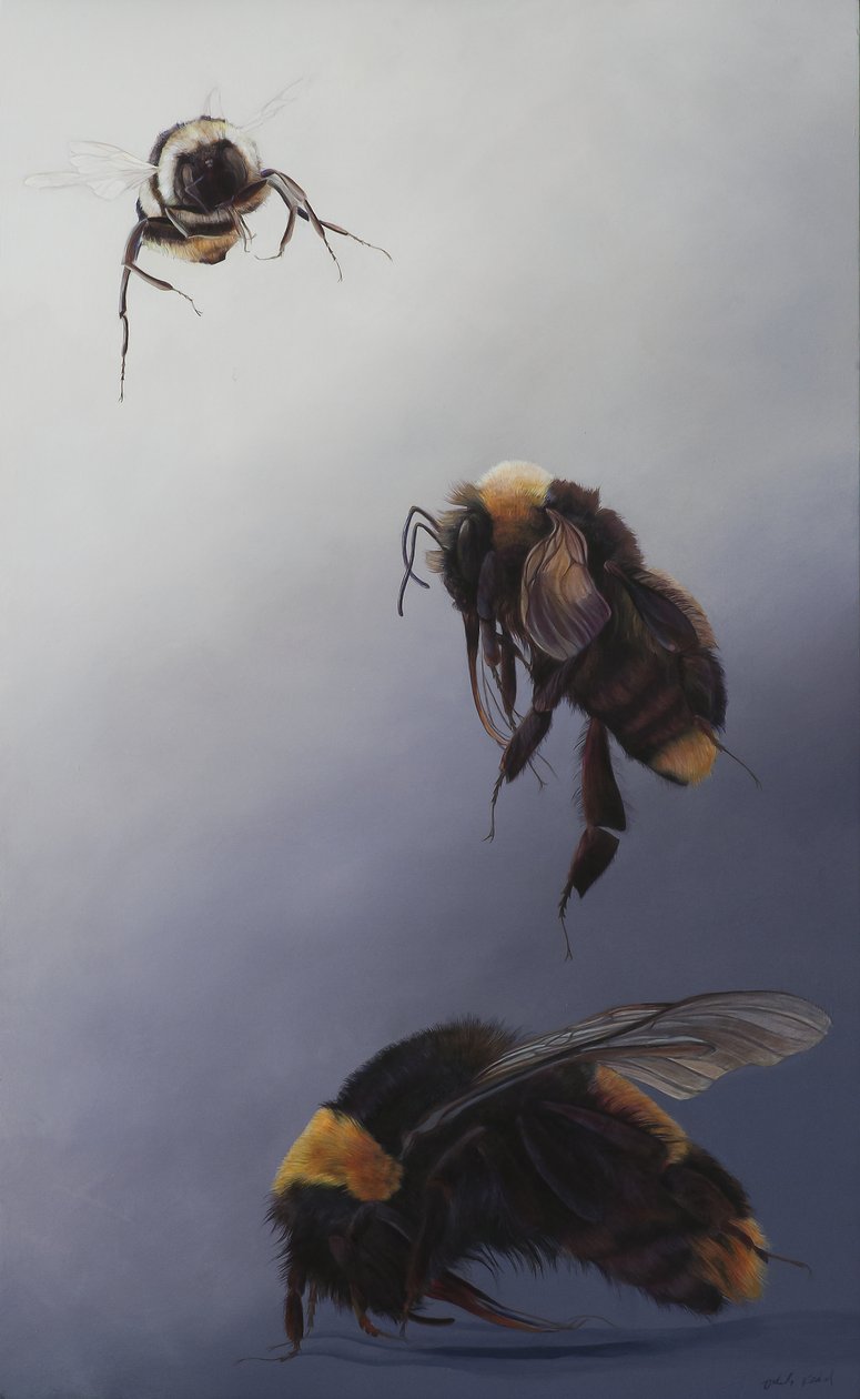 Bombus repülés 2, 2011 (akril, fa) alkotó: Odile Kidd
