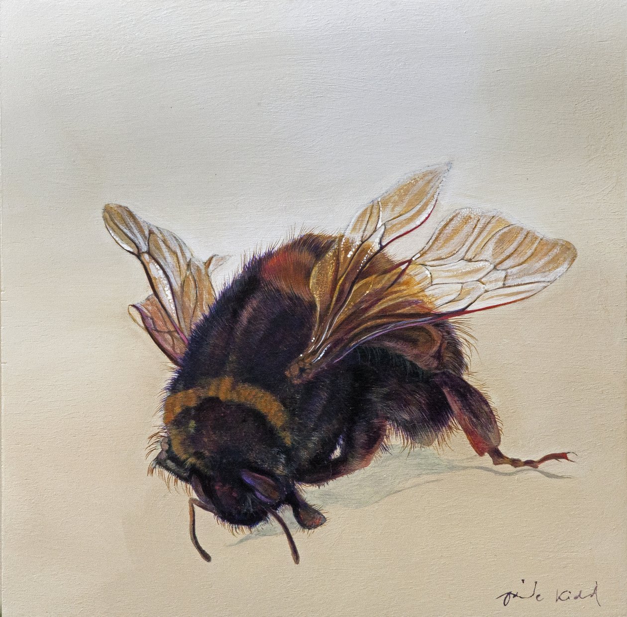 Bombus terrestris 10, 2013 (akril, fa) alkotó: Odile Kidd