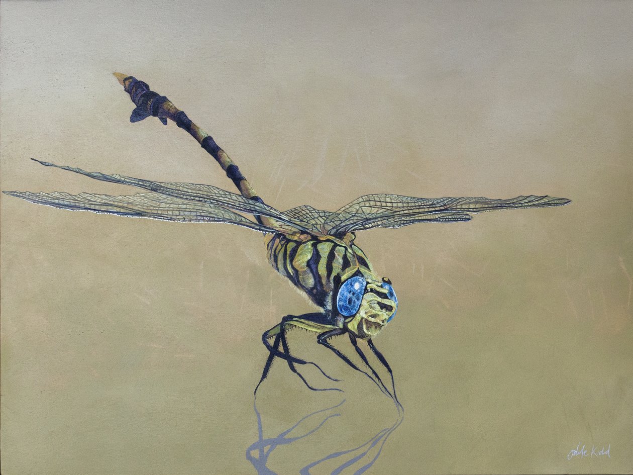 Sárkánylégy, 2009 (akril, fa) alkotó: Odile Kidd