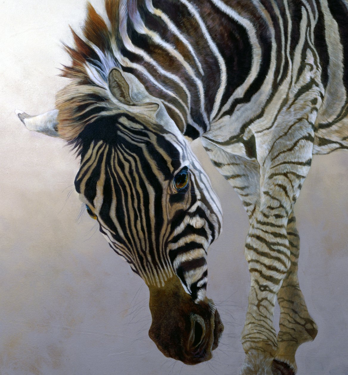 Equus burchelli 2 (részlet), 2010 (akril, vászon) alkotó: Odile Kidd