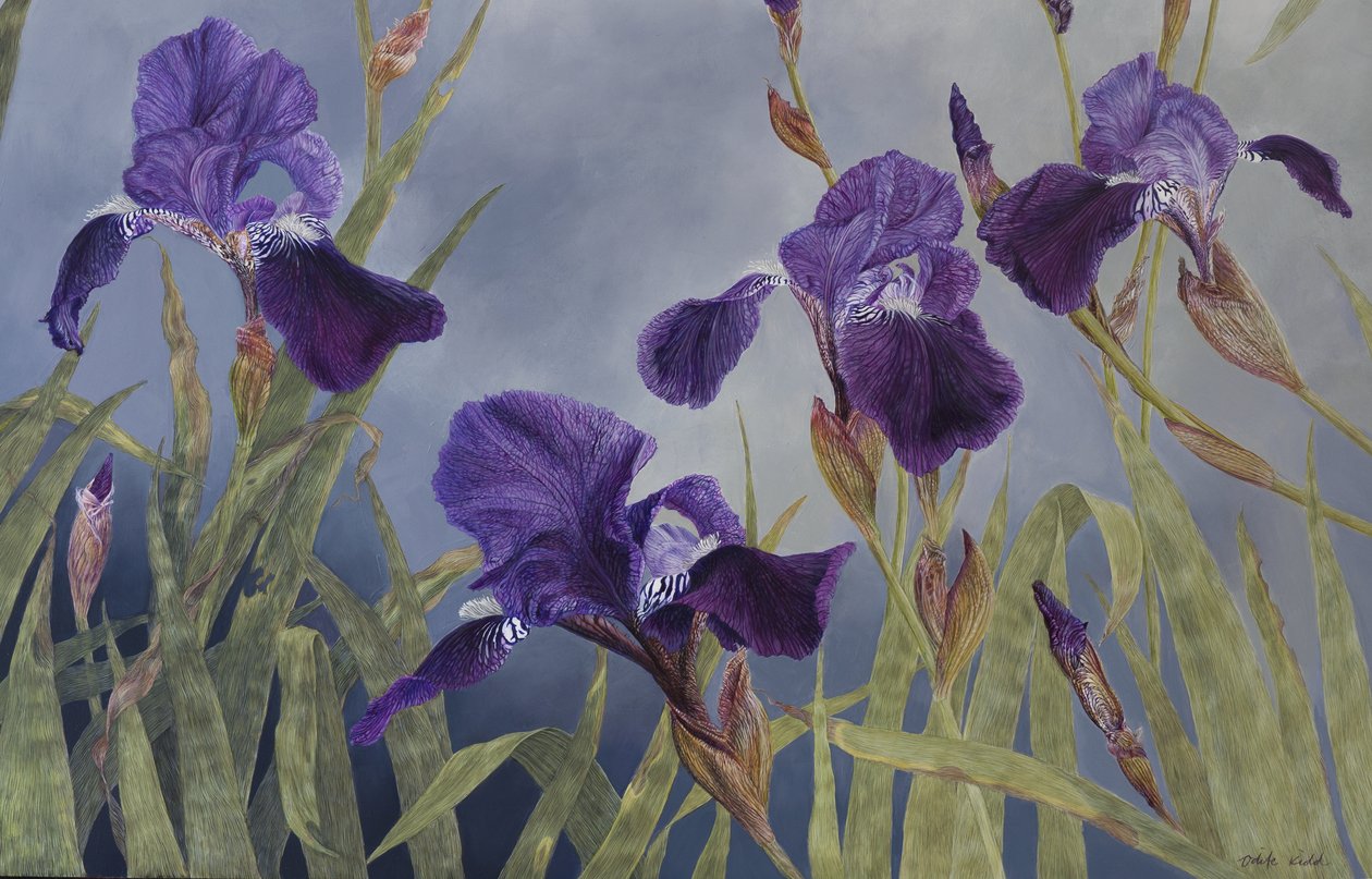 Iris hybrida (részlet), 2015 (akril, gesszózott fára) alkotó: Odile Kidd