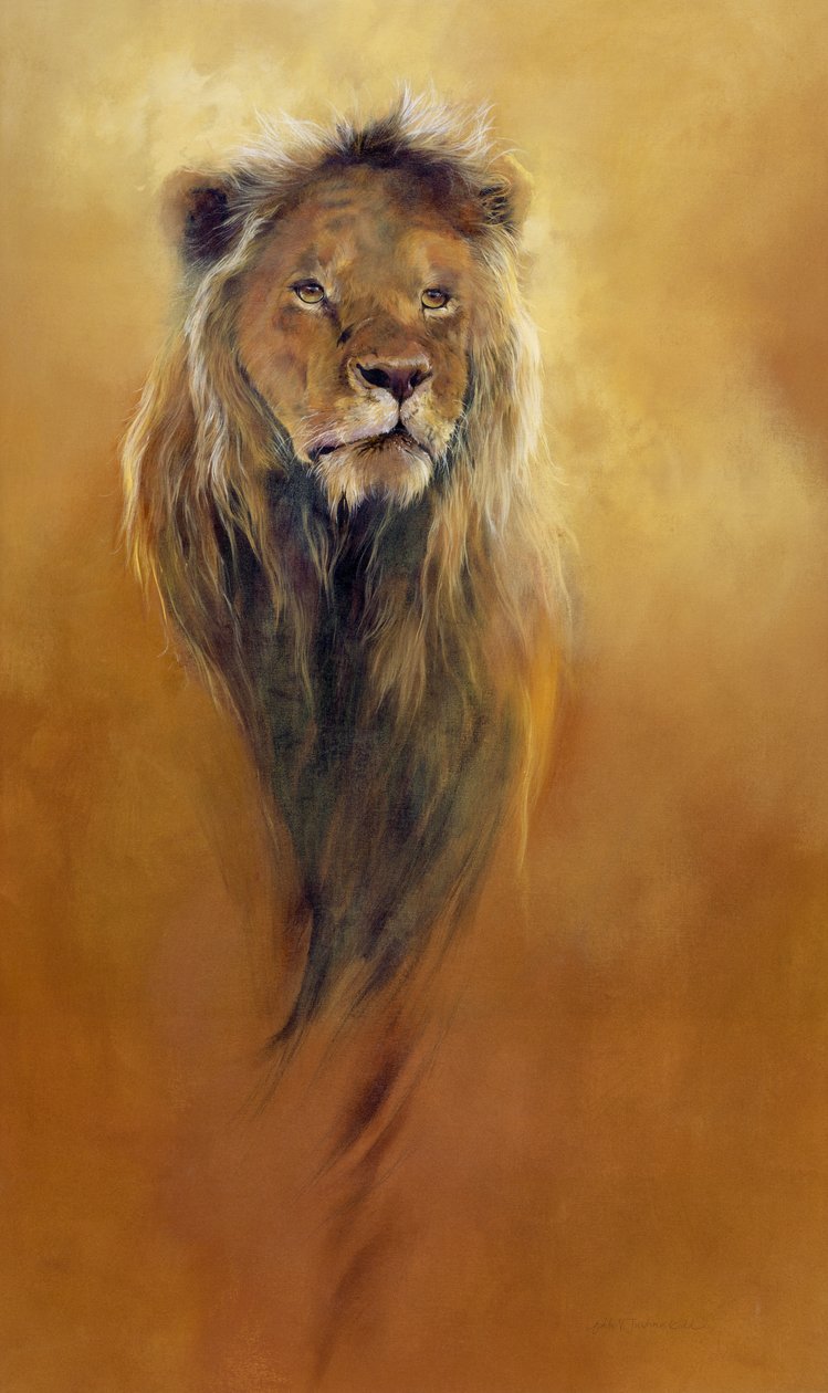 King Leo, 2000 (akril és ceruza zsírkréta vászonra) alkotó: Odile Kidd