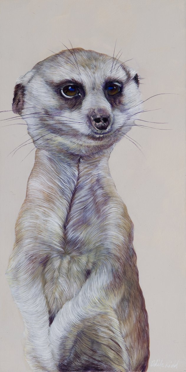 Meerkat 1, 2009 (akril, fa) alkotó: Odile Kidd