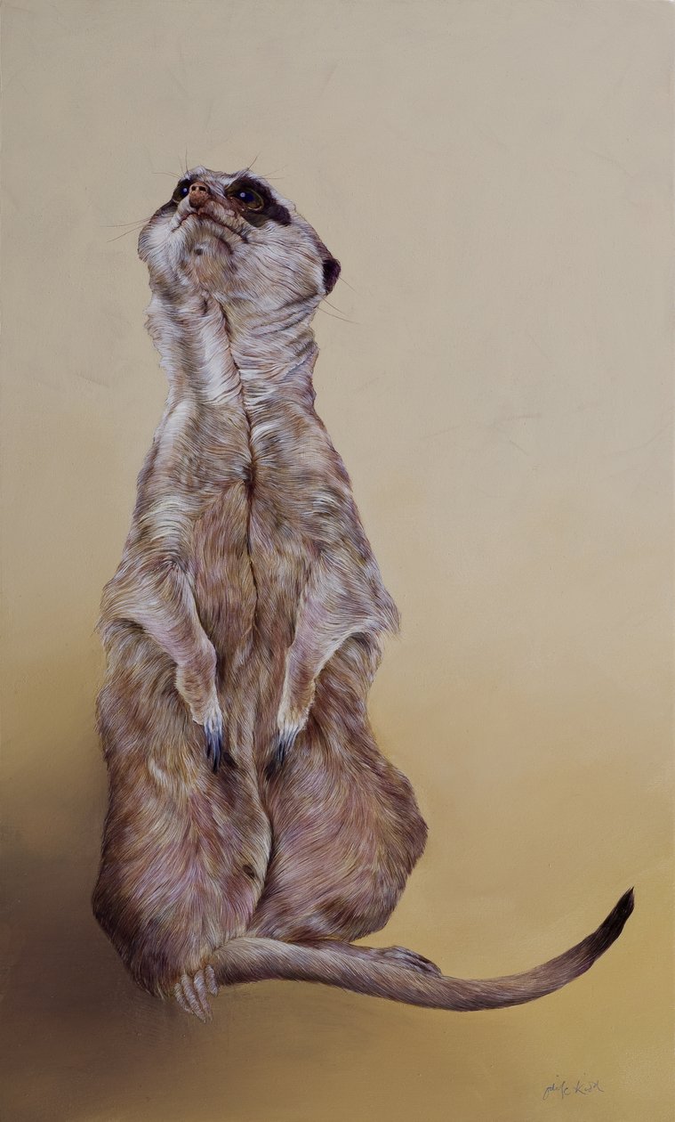 Meerkat 3, 2010 (akril, fa) alkotó: Odile Kidd