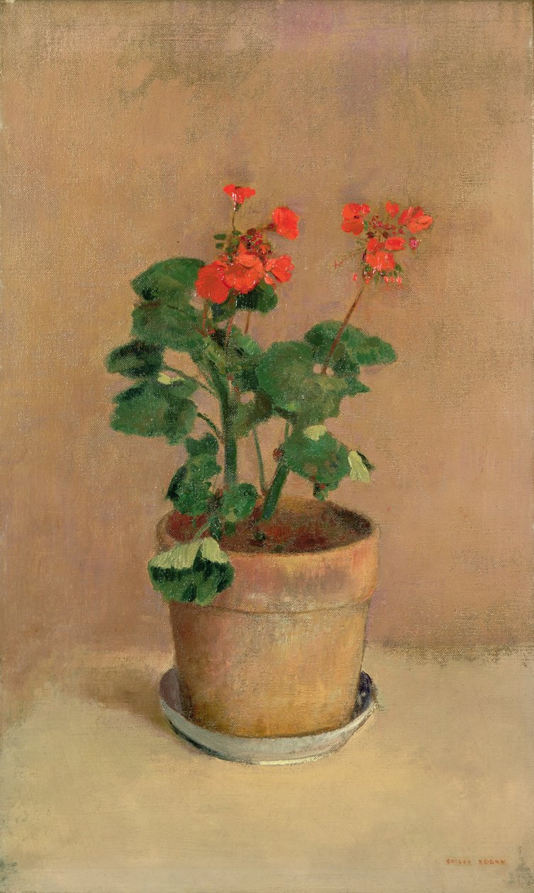 Gerániumok cserépben, 1905 körül alkotó: Odilon Redon