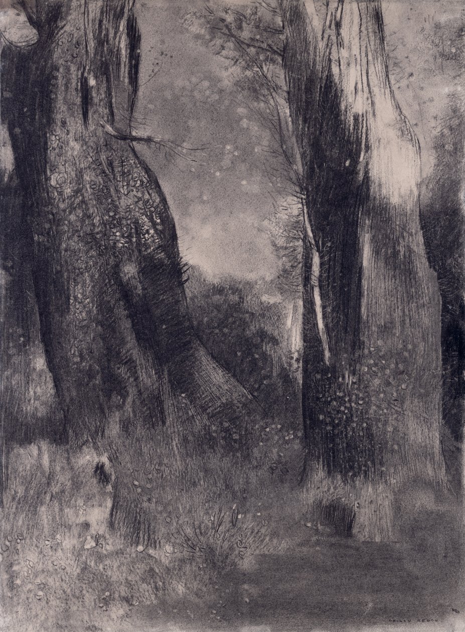 A fák, 1890-es évek (szén papíron) alkotó: Odilon Redon