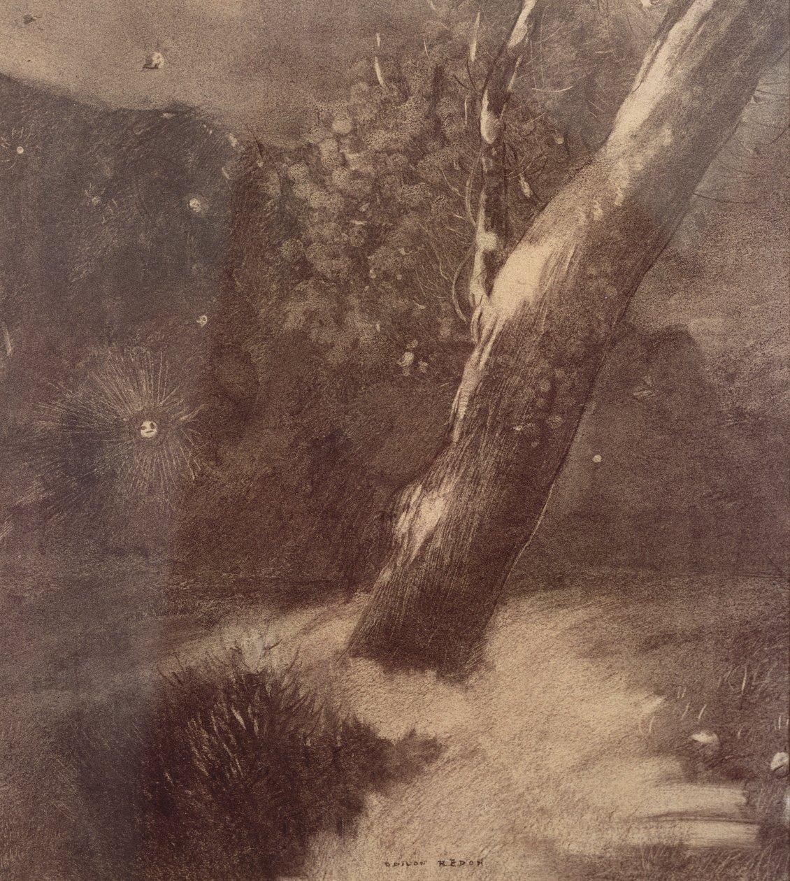 Fa és csillagok (szén) alkotó: Odilon Redon