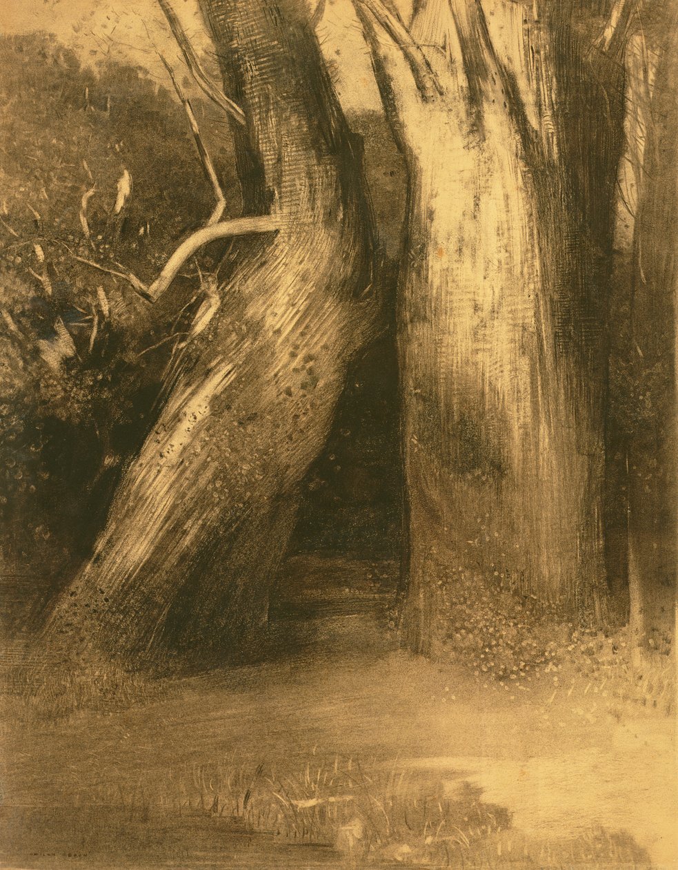 Két fa, 1875 körül (szén papíron) alkotó: Odilon Redon