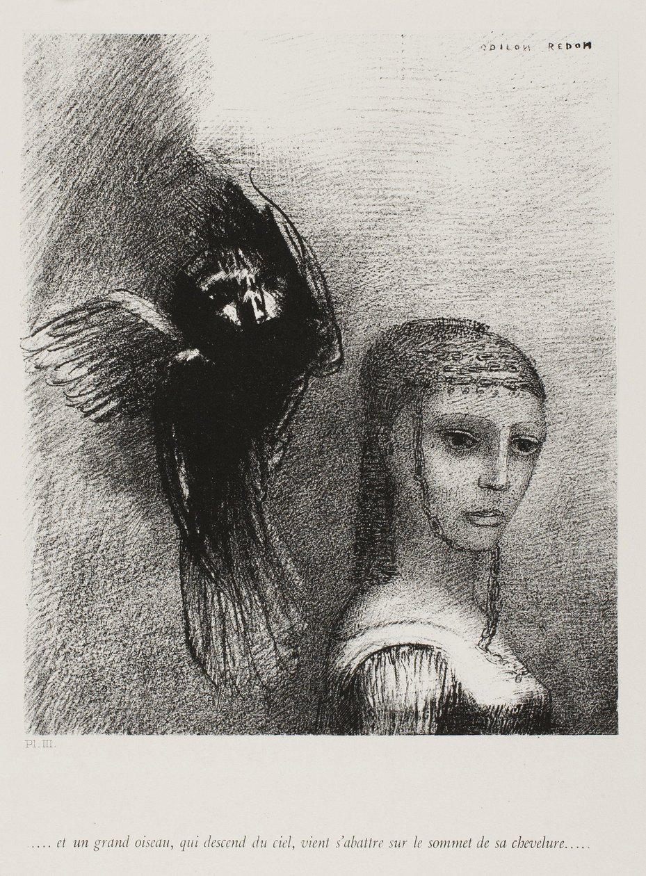 És egy nagy madár, ereszkedik le az égből, haja legfelső pontjához dől, 1888. 10. 3. tábla alkotó: Odilon Redon