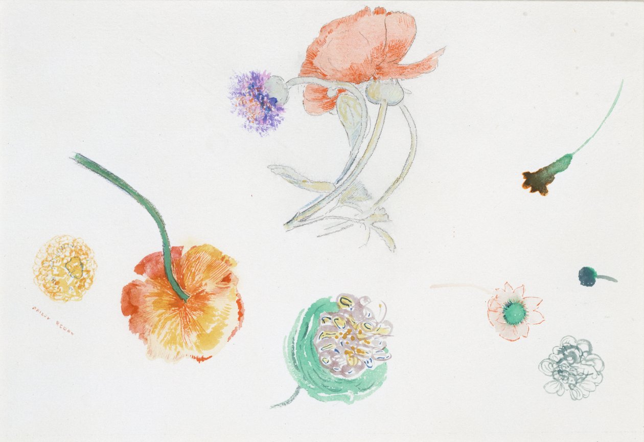 Virágvázlat alkotó: Odilon Redon