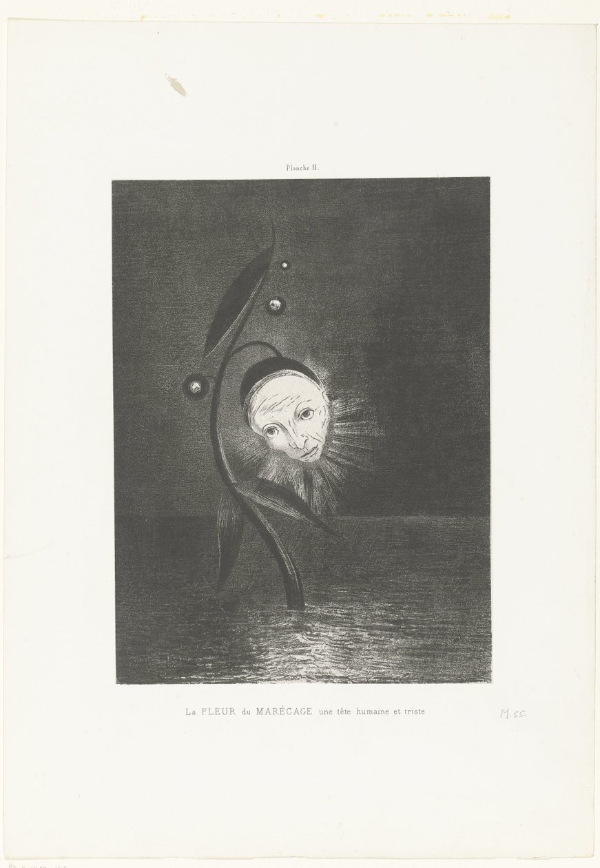 A mocsári virág, egy emberi és szomorú fej La FLEUR du MARÉCAGE une tête humaine et triste (cím a tárgyon) alkotó: Odilon Redon